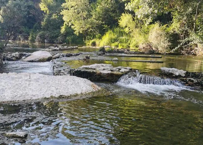 Mobil-home Avec Terrasse Pour 4 Personnes - Api-1-52-731